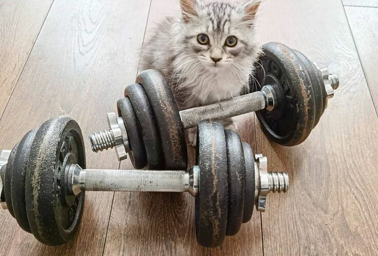 Beneficios del Levantamiento de Pesas para Mejorar tu Fuerza y ​​Resistencia