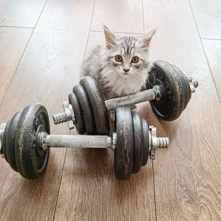 Beneficios del Levantamiento de Pesas para Mejorar tu Fuerza y Resistencia